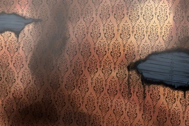 The Beast With 4 Eyes