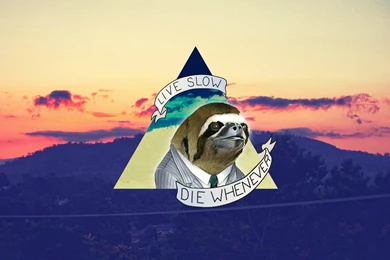 My Collection Of 30 Sloth Wallpapers. Enjoy   Album On Imgur