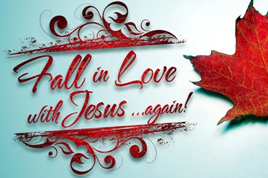 Wallpapers Need Love Fall In With Jesus Again 1024x768