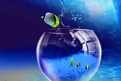 Live Wallpapers For Windows 7 Free Download – 1600×1200 High ...