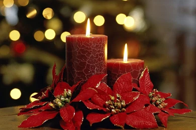 Wallpapers De Anu Nou