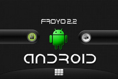 Zebra Desktop Wallpapers Real Wallpapers