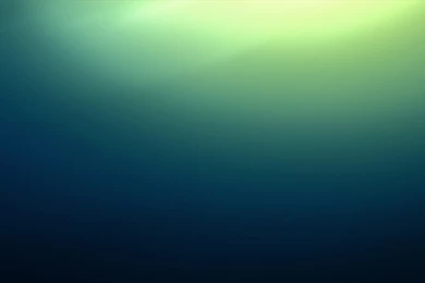 Jelly Bean Wallpapers For PC HD Wallpapers On Picsfair.com