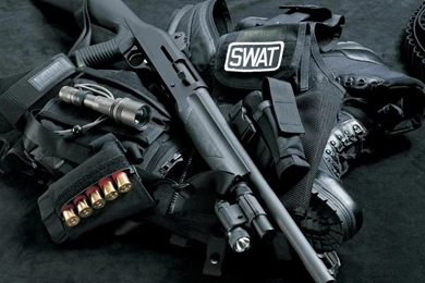 Guns,military Guns Military Police Sig P226 3008x2000 Wallpapers ...