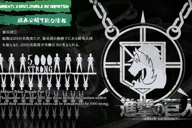 Military Police Brigade   Attack On Titan Wiki   Wikia