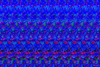 Magic Eye   Main Chat   Husky Owners   The Siberian Husky Forum