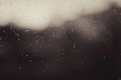 Download 2560x1440 Water Drops On Glass Wallpapers