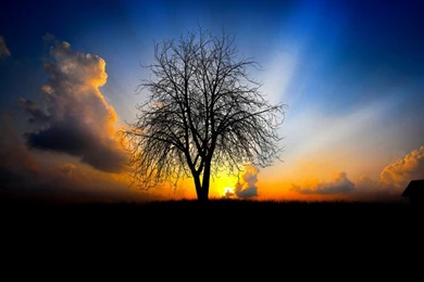 Good Wallpapers 4   Best Wallpapers Collection