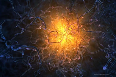 Spark3x This There Was Only Real Good Wallpapers Out Of Wallpapers ...