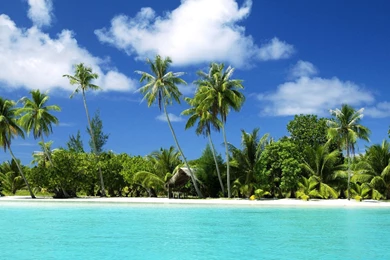 Clouds Beach Palm Trees
