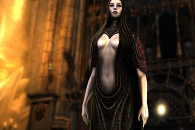 Wallpapers Castlevania Castlevania: Lords Of Shadow Games Image ...