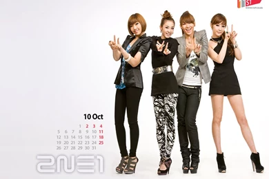 2ne1   Kpop Girl Power Wallpapers (20906528)   Fanpop