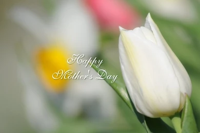 Unique Collection Of Mother's Day 2016 HD Wallpapers   Mothers Day ...