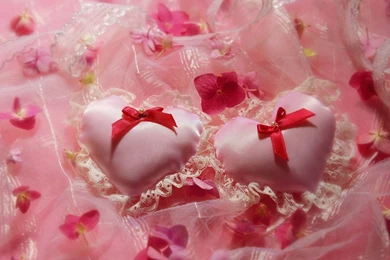 Love Fresh New HD Wallpapers Best Quality