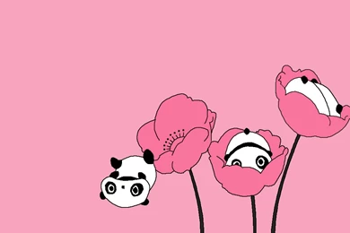 Cute Panda Pink Backgrounds