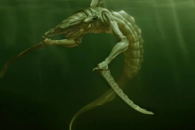 Sea Monster Creature Hd Wallpapers   (