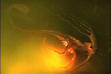 Fantasy Sea Monster Wallpapers   (