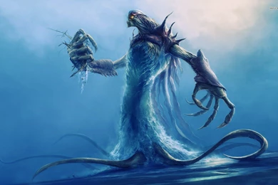 Top Sea Star Crab 1280x800 Wallpapers