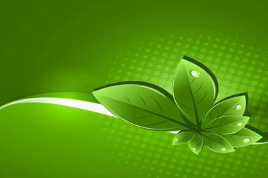 All New Pix1: PC Wallpapers Live