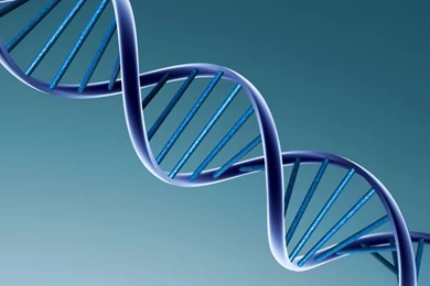 Wallpapers Dna Bio Dns Dual Monitor Free Uimages Org 1366x768 ...