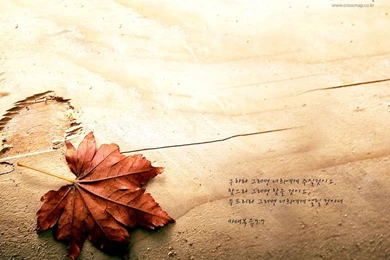 Bible Verse Desktop Wallpapers   Wallpapers Cave