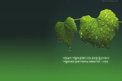 Christian Desktop Wallpapers With Scripture