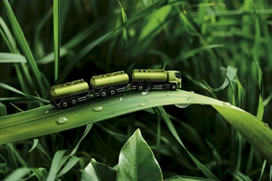 Bio Fuel Funny Green Leaves Nature Photo Manipulation Plants Road ...