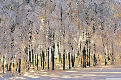 Winter Wallpapers Hd Collection (30+)