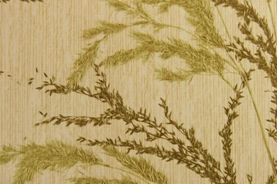 Vintage Grass Print Wallpapers Card And Envelope