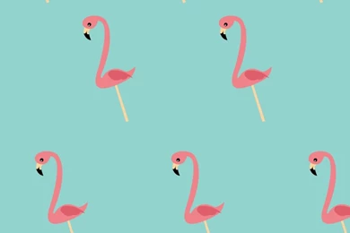 Flamingo Wallpapers