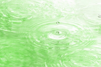 Wallpaper, Plant, Scenery, Green, Nature, Desktops, Delicate (