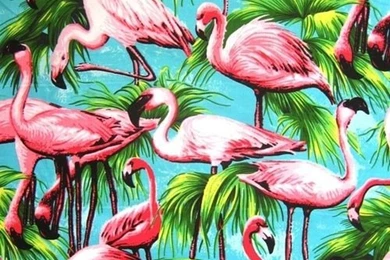 Flamingo Wallpapers