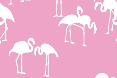 The Glam Pad: Fabulous Flamingo Wallpapers