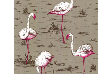 Buy Cole & Son Flamingos Wallpapers