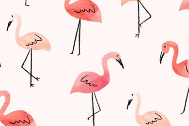 Inspired Idea: New Tech August Wallpapers – Lauren Conrad