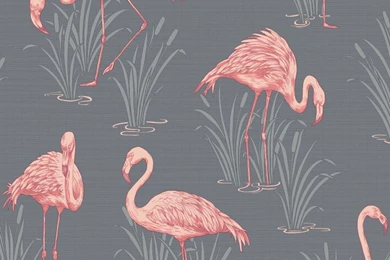 Flamingos Pink Wallpapers