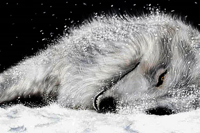 Not Sure If This Is The First 8k Image On Imgur, But I Did This In ...