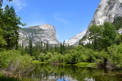 Download Forest Wallpapers Ultra HD 3k, 4k, 5k And 8k Hi Res ...