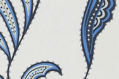 Cactus Paisley Wallpapers By Neisha Crosland