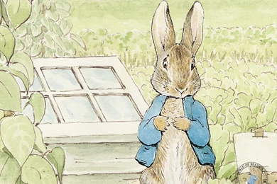 Live Action/CG Animated 'Peter Rabbit' Movie In Development At Sony