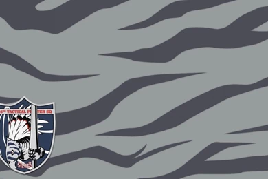 Silber Ace Combat Zero Hd Wallpapers   (