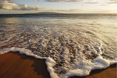 Photos: 18 Hawaiian Shore   Wallcoo.net