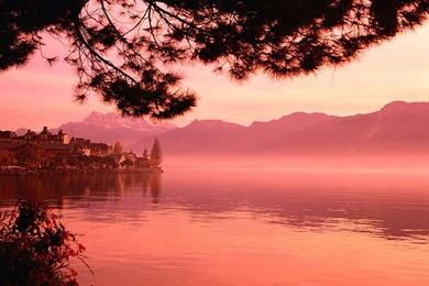 Desktop Wallpapers · Gallery · Nature · Shore Of Lake, Geneva ...