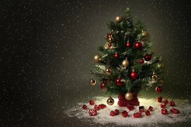 Christmas Tree Wallpapers HD