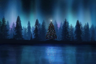 Christmas Tree Wallpapers