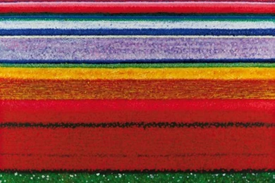 Six Picks With Hell & Lula: Six Ways We've Gone Green While ...