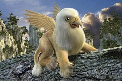 Other: New Species Animal Animals Funny Abstract Nature Cute ...