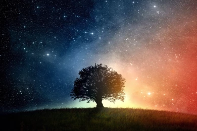 Space Tree [1920x1200] : Wallpapers