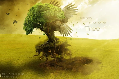 Dream Of A Lone Tree   (