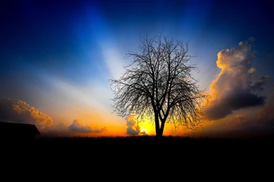 2015 10 09   Page 170